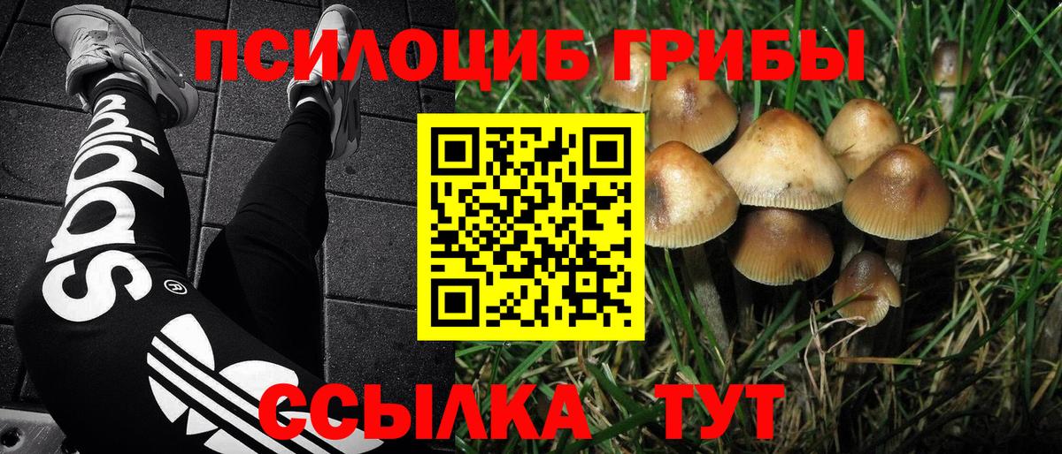 Галлюциногенные грибы Cubensis Чебаркуль
